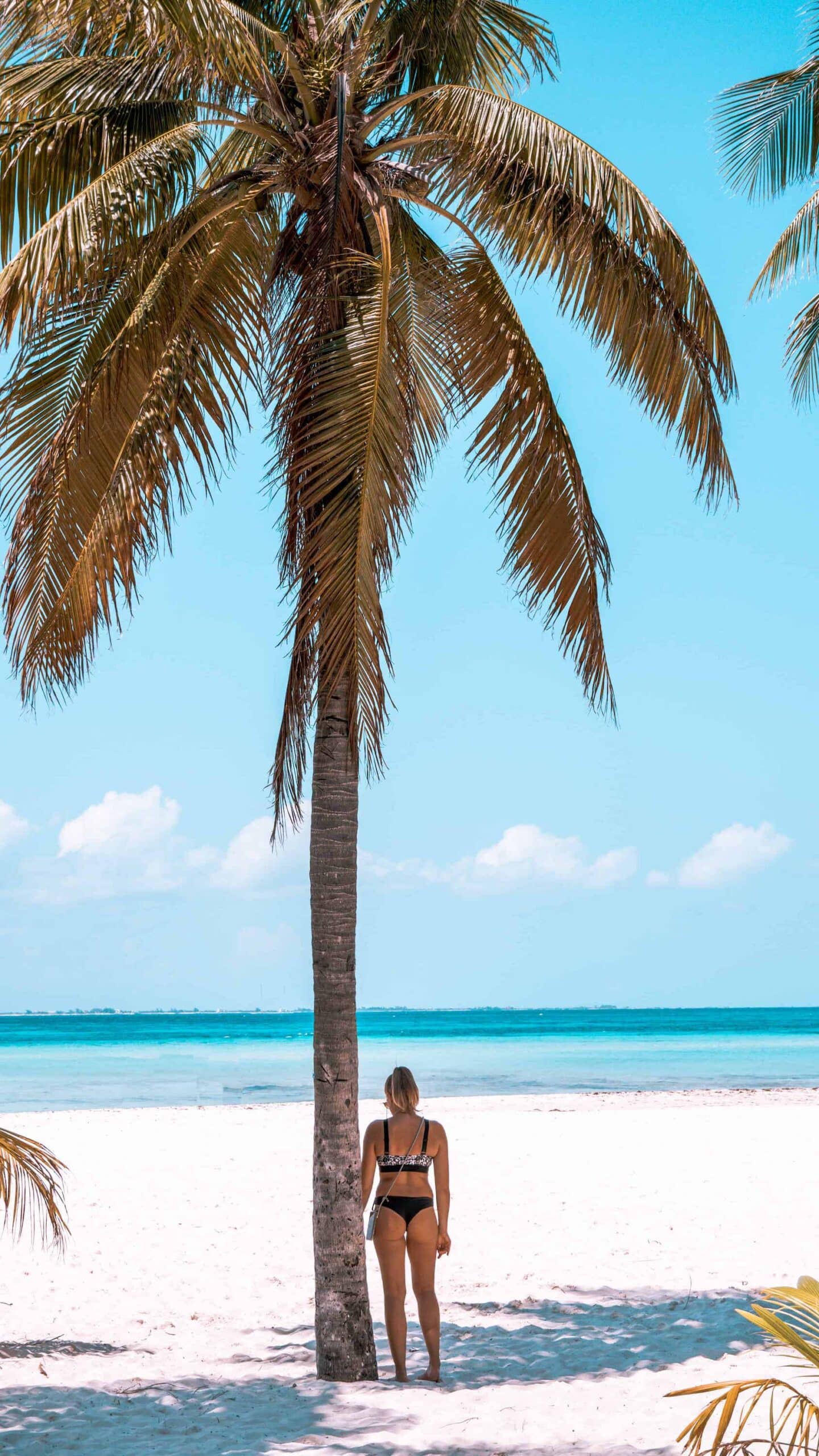 Foto mit einer Palme vor dem Meer auf Isla Mujeres Mexiko