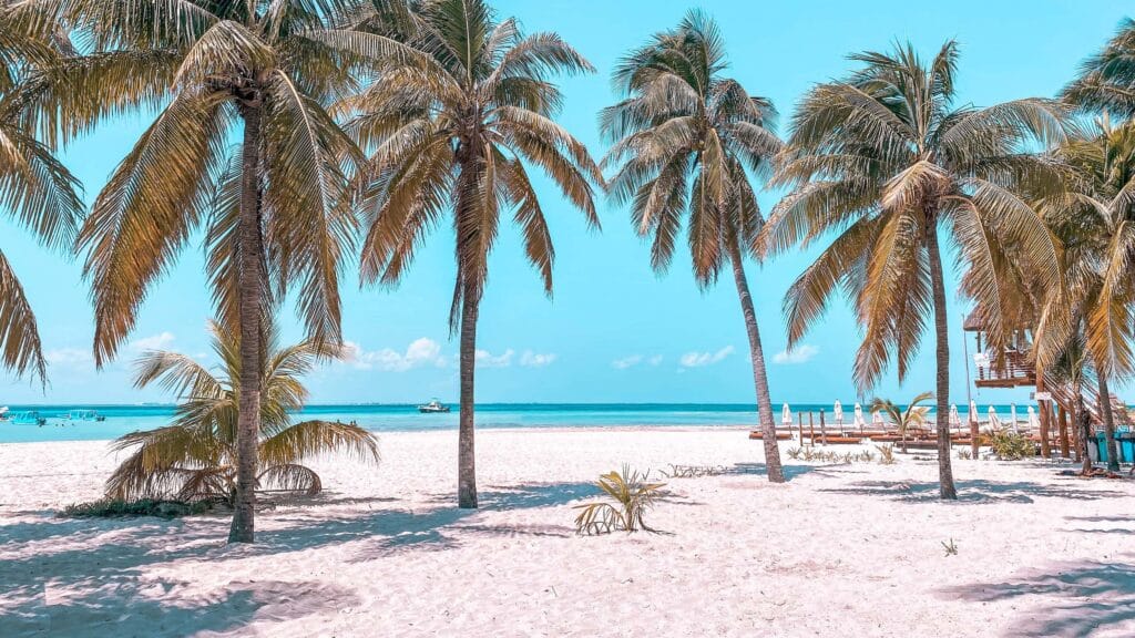 Isla Mujeres - Aktivitäten & Unternehmungen auf der Karibik-Insel 7 Karibikstrand in Mexiko (Playa Norte)