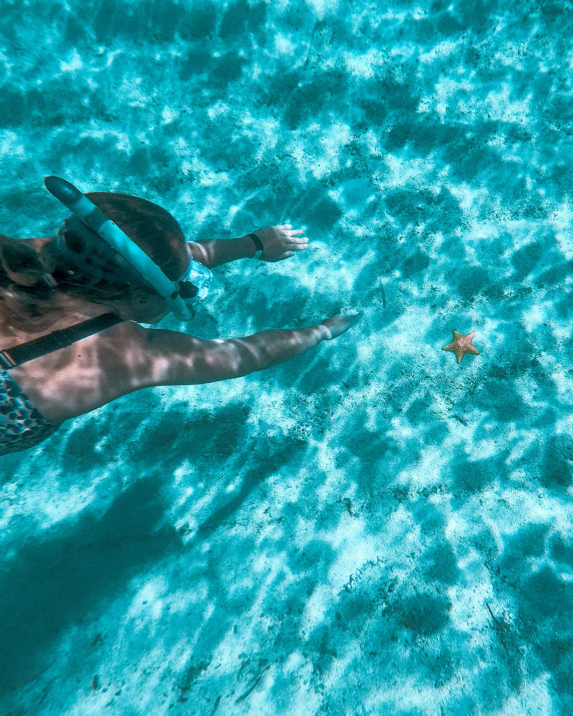 Schnorcheln mit Seesterne Isla Mujeres