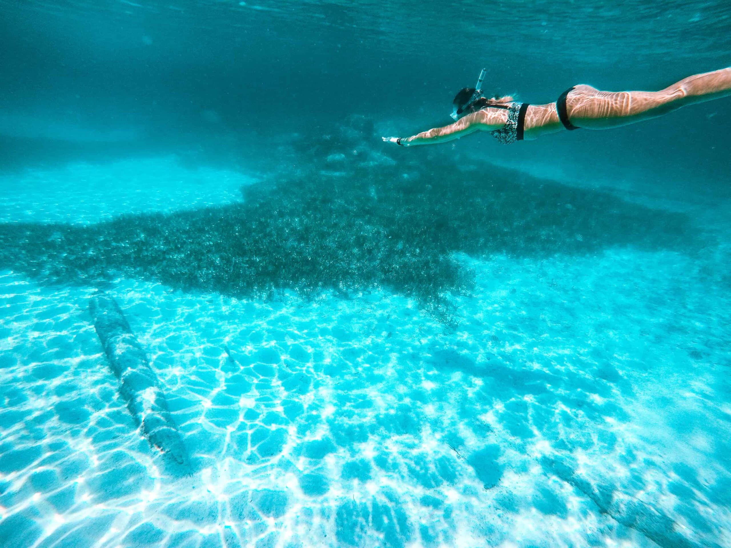 Unterwasser Foto Mexiko, Yucatan
