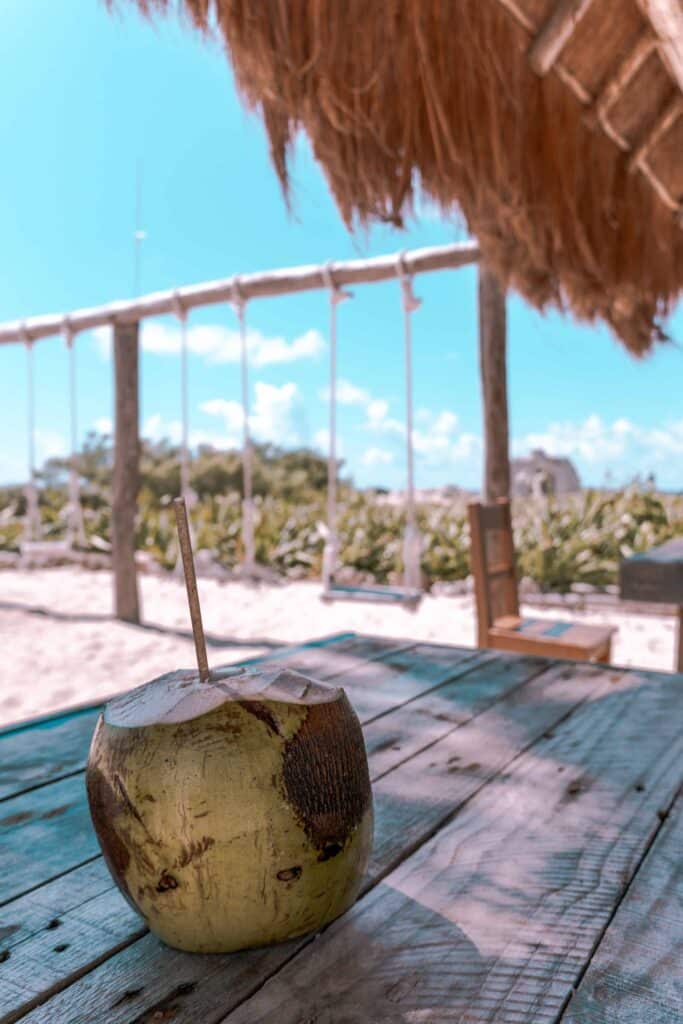 kokosnuss vor einer Schaukel im Eco Beach Park