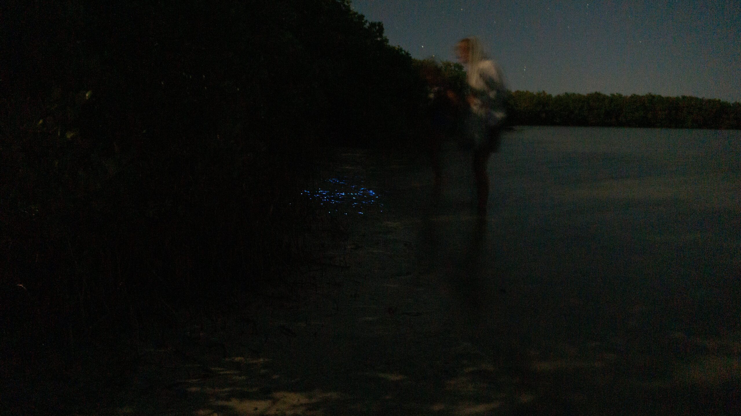 biolumineszenz isla Holbox Kim und weg scaled