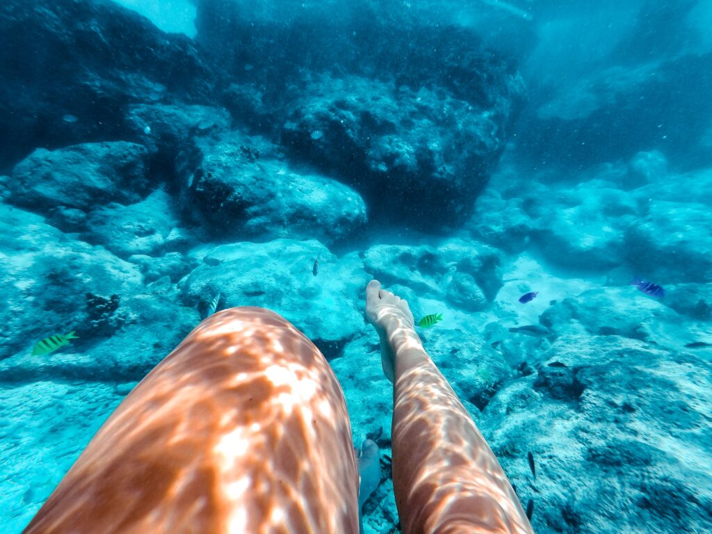 Unterwasserwelt von Curacao