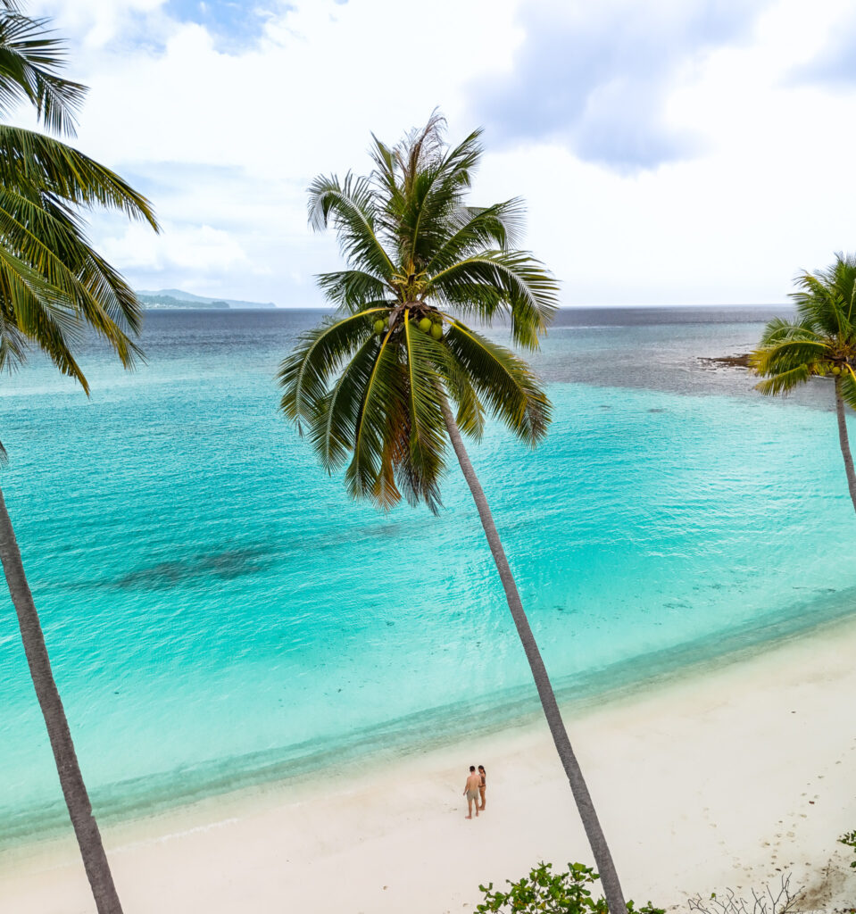 Oyama Beach Palmen Banggai